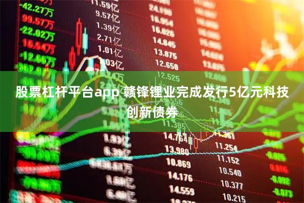 股票杠杆平台app 赣锋锂业完成发行5亿元科技创新债券