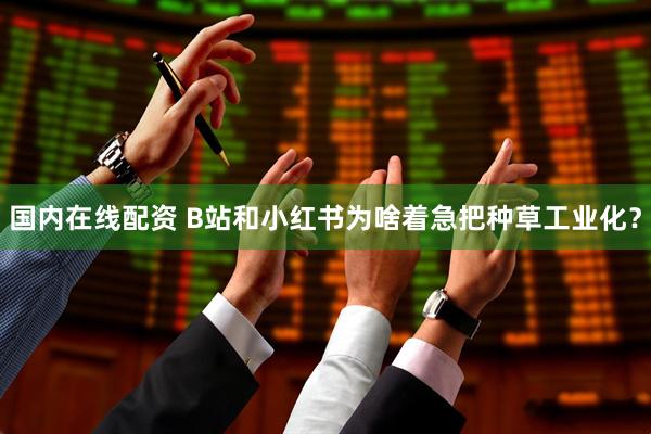 国内在线配资 B站和小红书为啥着急把种草工业化？