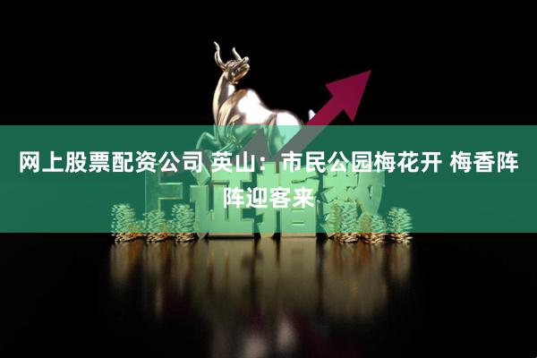 网上股票配资公司 英山：市民公园梅花开 梅香阵阵迎客来