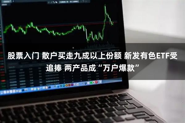 股票入门 散户买走九成以上份额 新发有色ETF受追捧 两产品成“万户爆款”
