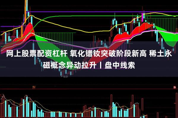 网上股票配资杠杆 氧化镨钕突破阶段新高 稀土永磁概念异动拉升丨盘中线索
